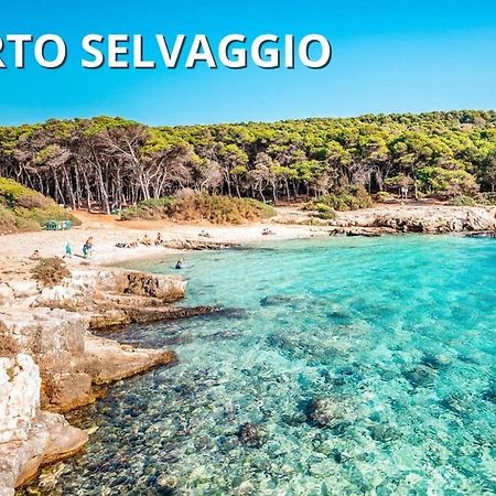 Casa Smeraldo Mare A Sud Di Porto Cesareo Torre Inserraglio Dış mekan fotoğraf